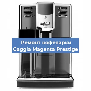 Ремонт капучинатора на кофемашине Gaggia Magenta Prestige в Нижнем Новгороде